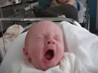 7 oktober 2007  In gesprek met Bas