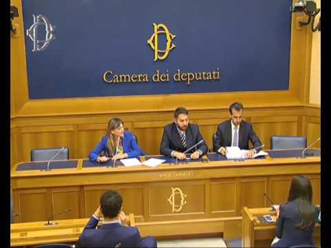 Roma - Conferenza stampa di Fabio Rampelli (08.06.17)