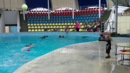 Un enfant qui partage un moment formidable avec un dauphin en jouant le ballon