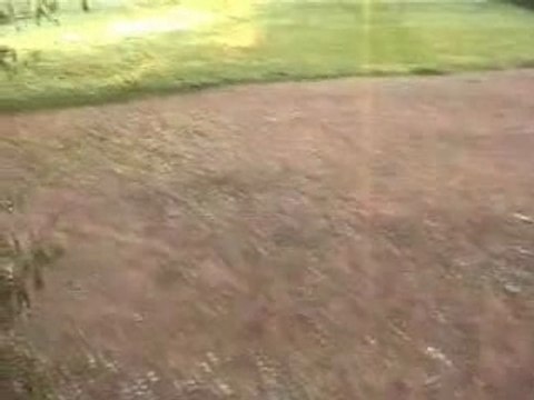 MaMaDoO ; Milky - way ; ElectrO-pOping