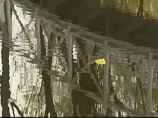 C'est tellement beau