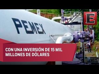 下载视频: Mauricio Flores: Pemex revela que requiere 22 proyectos logisticos