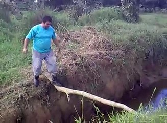 Gordinho pediu pra cair