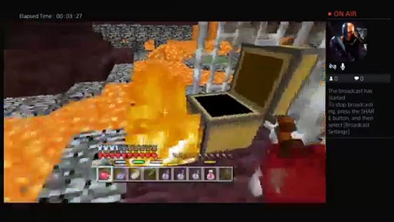 Mincraft (48)