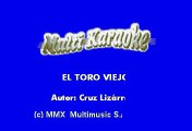 Julion Alvarez - El Toro Viejo (Karaoke)