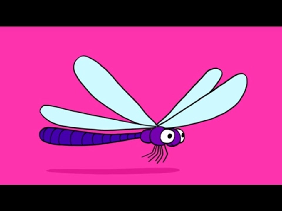 Apprendre à dessiner une libellule