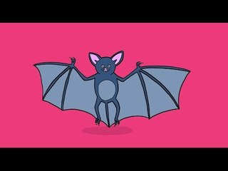 Apprendre à dessiner une chauve-souris