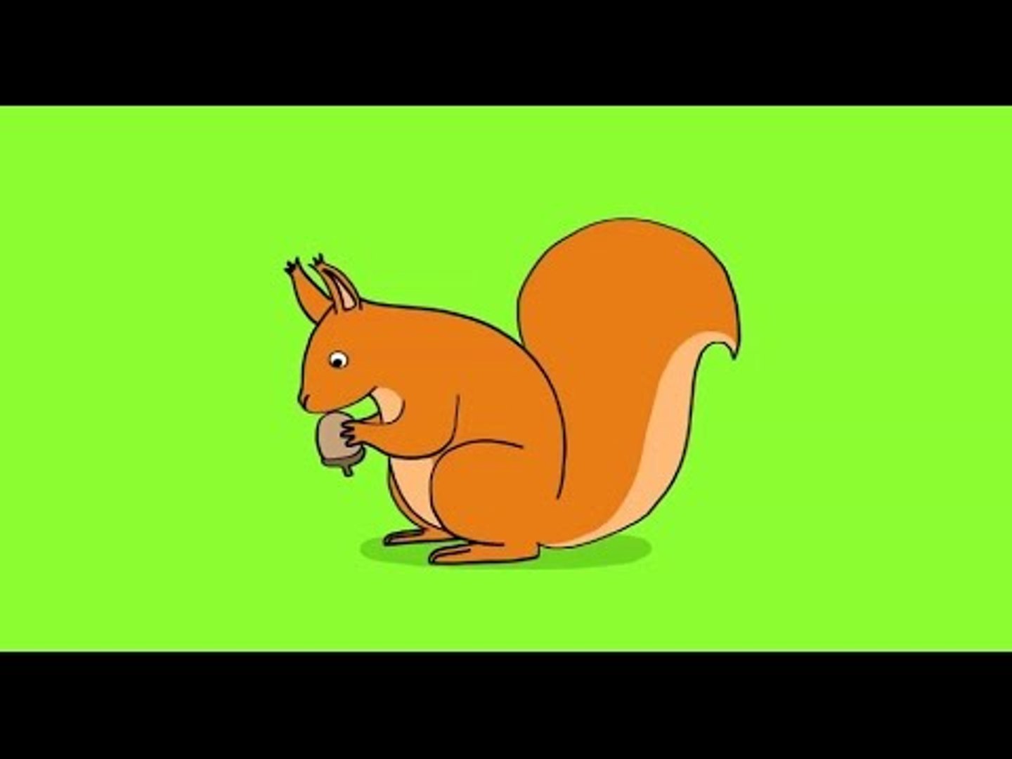 Comment dessiner un écureuil ? Dessin écureuil facile par étapes