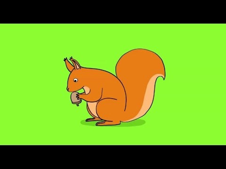 Comment dessiner un écureuil roux ?
