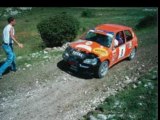Rallye Terre des Alpes 2003