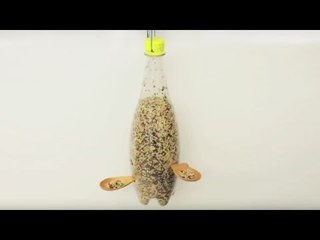 Fabriquer une mangeoire à oiseaux