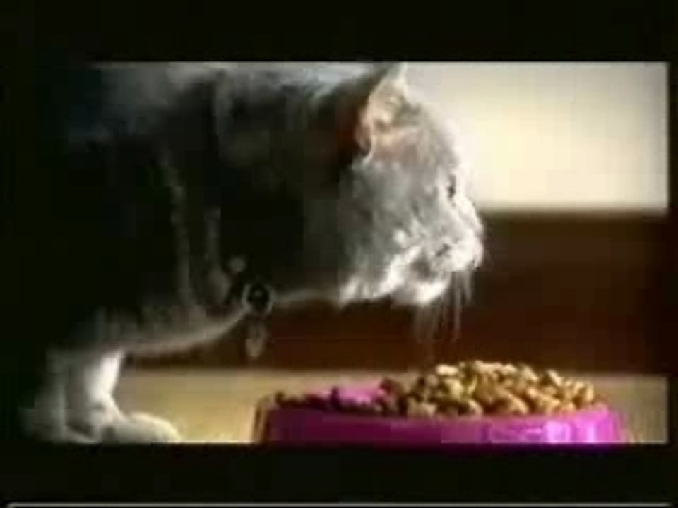 Miska 2