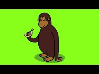 Apprendre à dessiner un singe