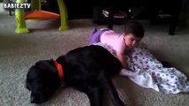 Cute Dogs and Babies Crawling Together - Adorable babies Compilation-IEE