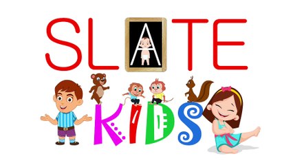 How To Draw A Dolphin Step By Step | Dolphin Pencil Sketch | Slate Kids