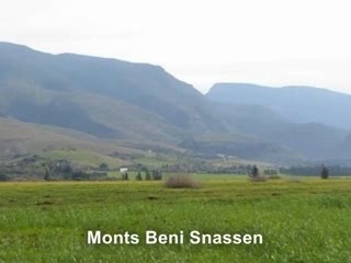 Younsi mohamed - Sidi Fezouane سيدي فزوان