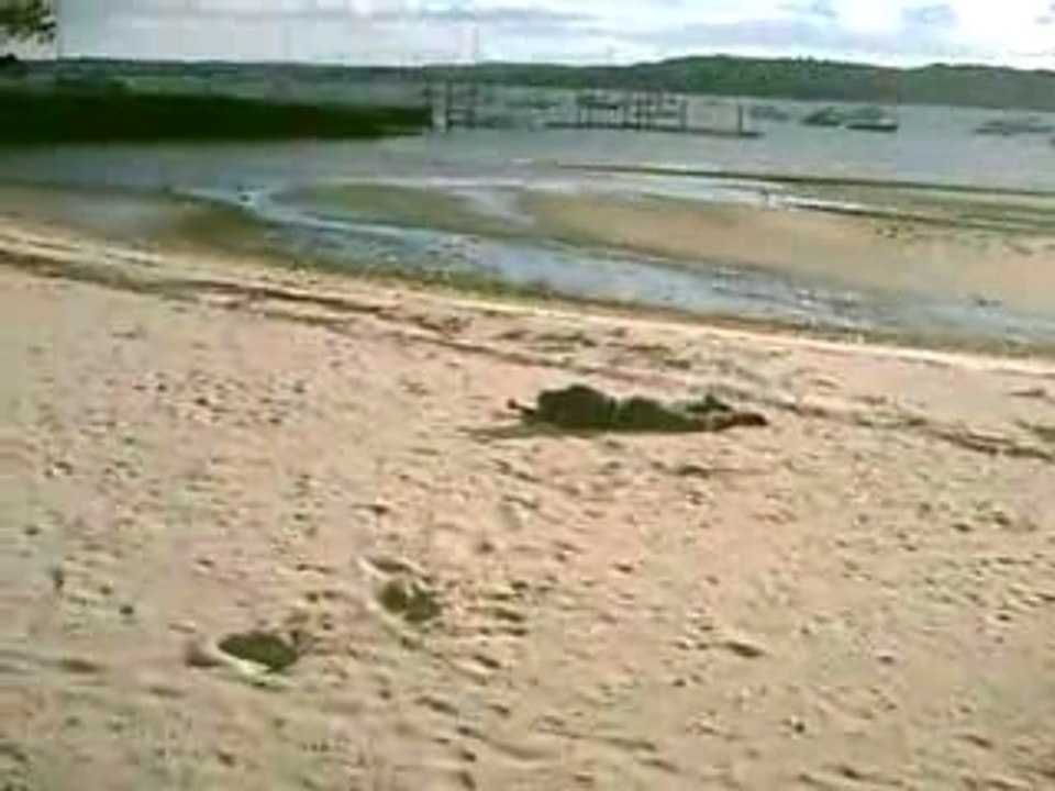 Jackass Long Jump