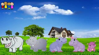 Cartoons for Kids   Cabbage Finger Family Rhymes in English   Family