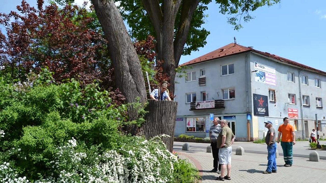 DREVENÉ TAJOMSTVÁ SA UŽ PRIPRAVUJÚ