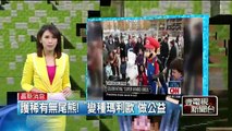 護稀有無尾熊！ 「變種瑪利歐」做公益 即時新聞 新聞 壹電視 NextTV