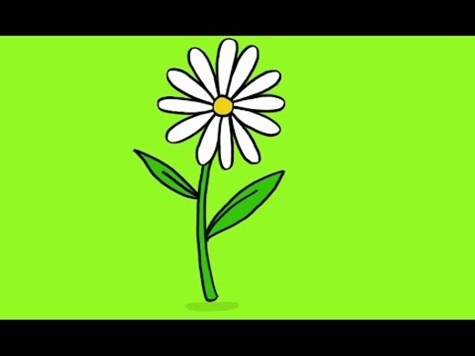 Apprendre à dessiner une marguerite