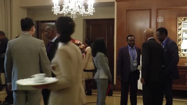 Güney Sudan Konulu Olağanüstü Igad Zirvesi - Addis Ababa