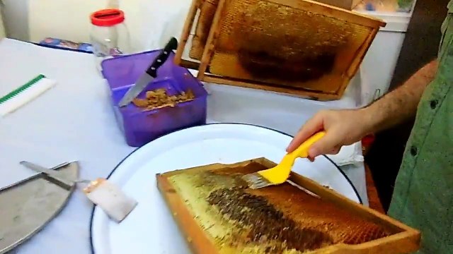 Arıcılık Malzemeleri Petek Temizleme