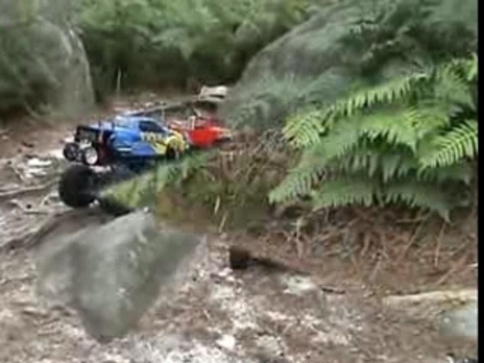 Fontainebleau 1 Tamiya Rc