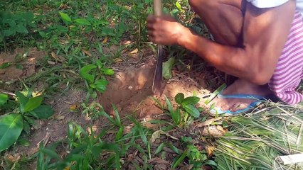 How To Make A Simple Deep Hole Rat Trap, Mouse Trap
