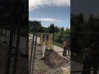 Police Arrive at Scene of Munich Station Shooting