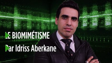 Le biomimétisme selon Idriss Aberkane #19 : les capacités sensorielles