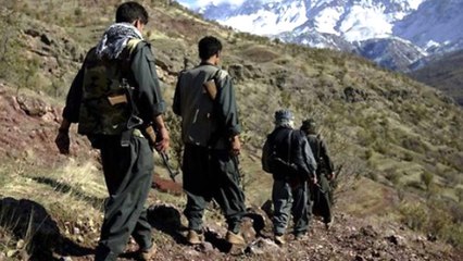 TSK, PKK'nın İpliğini Pazara Çıkardı: Örgüt İran Üzerinden Silah Temini Gayretinde