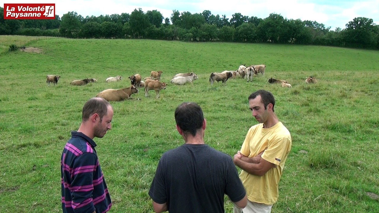 Bovins viande conversion AB Aveyron