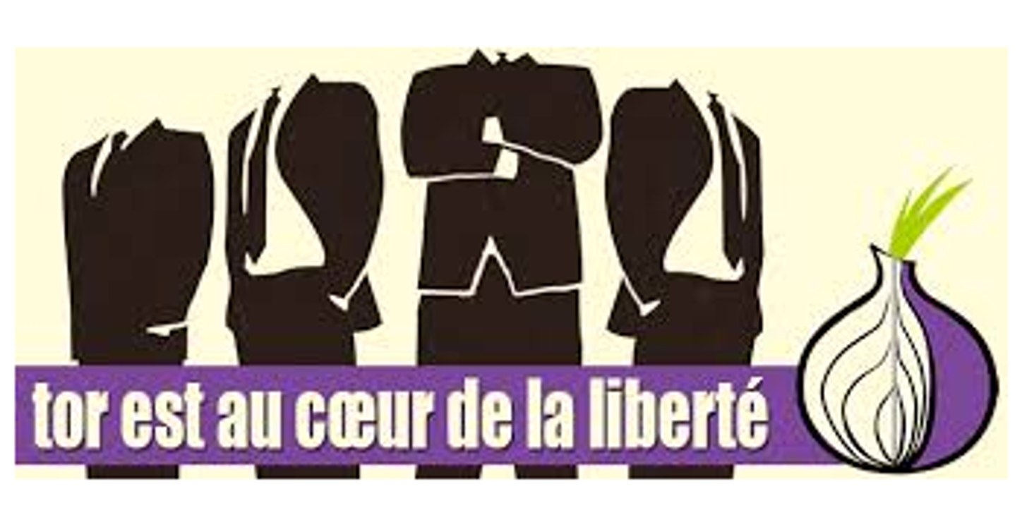 Tor Browser : Comment l'utiliser