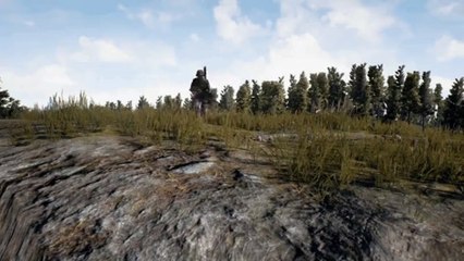 Battlegrounds: *Tink*