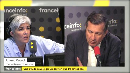 Obésité : "Aujourd'hui, la pollution peut être une cause de surpoids"