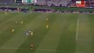 GOAL HD - Australia 0-1 Brazil 13.06.2017