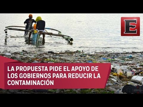 ONU propone acciones para disminuir contaminación en los mares