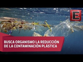 ONU insta a los países a salvar los océanos