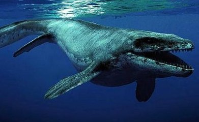 Monstres Marins HD - Aventure Préhistorique (2007)