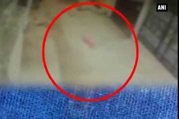 CCTV footage Child falls off 1st floor in Hyderabad