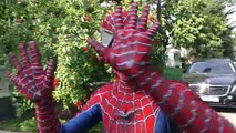 Spiderman Vs Venom SAW Skeleton ATTACK! Superheroes Fun Joker Hulk Yellow Spiderman Movies Action