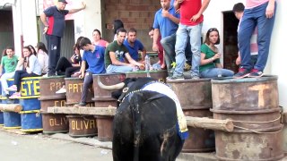 Bullfighting 08.15-17 IS IT A BULL OR RHINOCEROS- My Mother. Watch this video. Beas. 3rd and last part