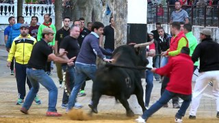 Bullfighting14-17 SUCK THE BULL INSIDE THE HOUSE !! FIESTAS OF INTEREST TOURIST. Beas