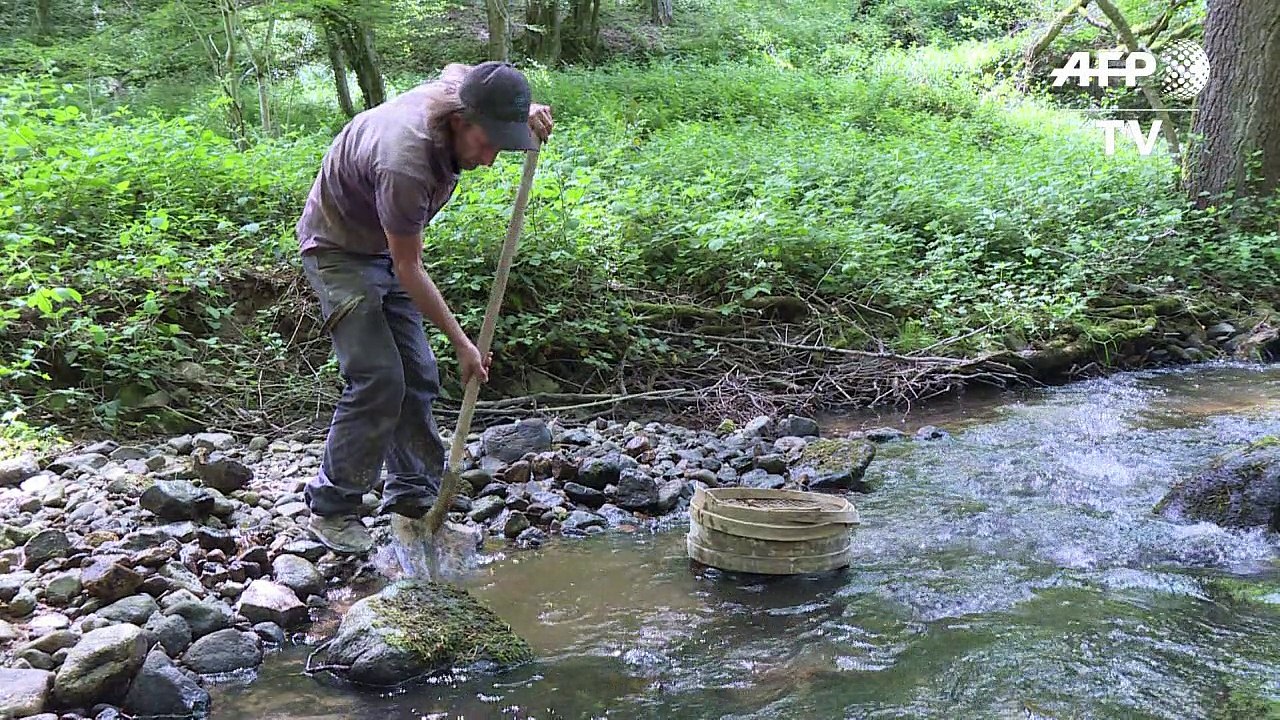Franzose fischt zufällig edelsteine aus fluss