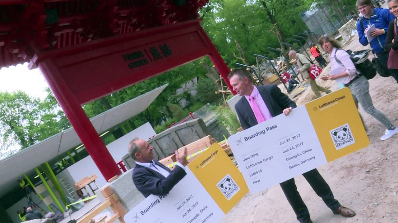 Berliner Zoo rüstet sich für Panda-Wahnsinn