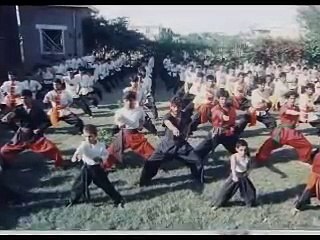 Afghan Kung Fu Champion