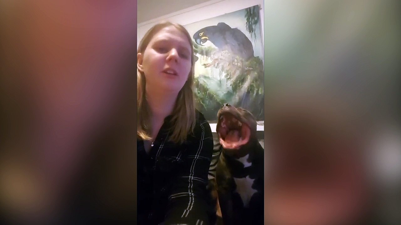 Un chien chante avec sa maîtresse !