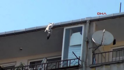 Itfaiyeden Martı Kurtarma Operasyonu