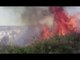 Falconara Marittima (AN) - Incendio di sterpaglie sulla statale 16 (13.06.17)
